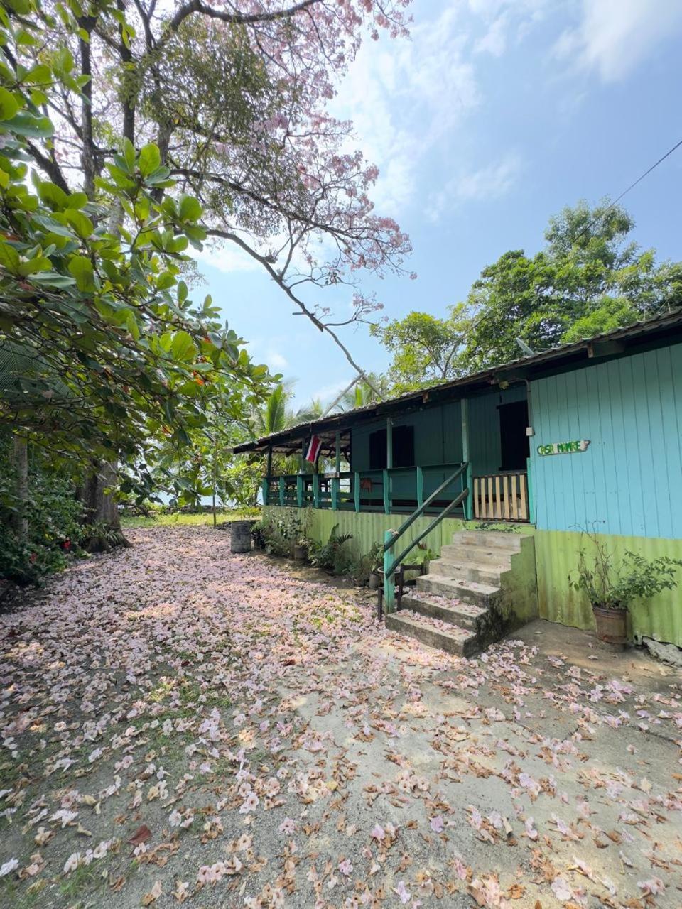 Casa Mamre Hostel Cahuita Exterior photo